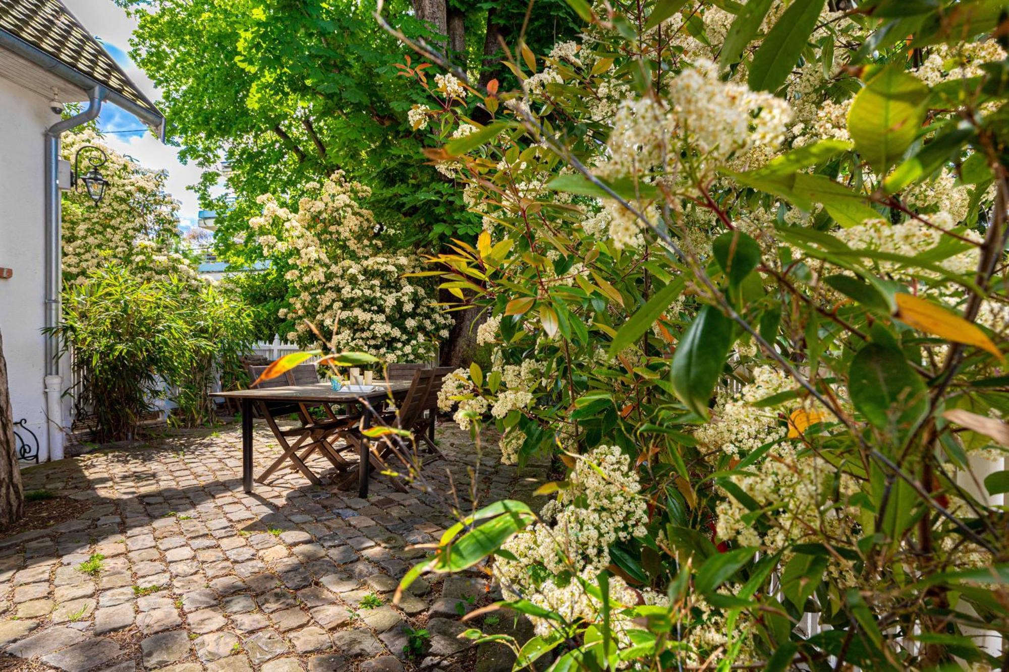 Grand & Classy Apartment With Private Garden, Villa Des Ammonites Медон Екстер'єр фото